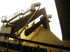 Kuwait Cement Company-Cement Plant